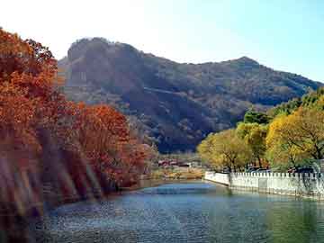 新澳天天开奖资料大全旅游团，国珍松花